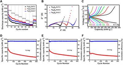 Advanced TexSy-C Nanocomposites for High-Performance Lithium Ion Batteries